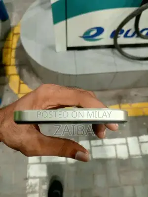 High Performance Mobile Device with Robust Memory