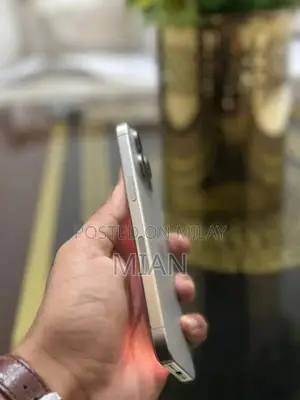 iphone 15 pro max waterpack 256 GB 86 Health with box 10by10