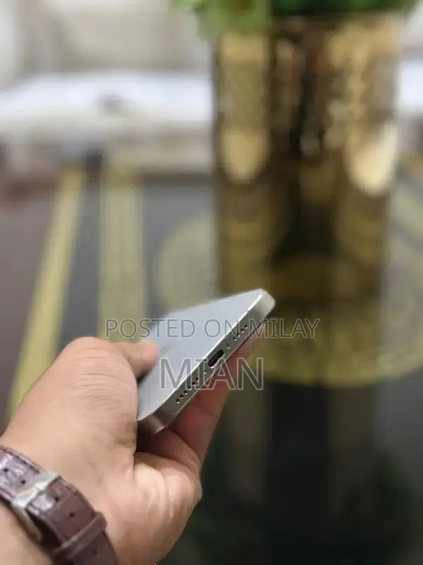 iphone 15 pro max waterpack 256 GB 86 Health with box 10by10