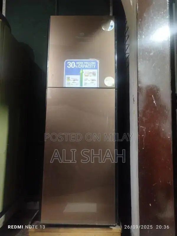 Modern Refrigerator with Advanced Cooling Technology