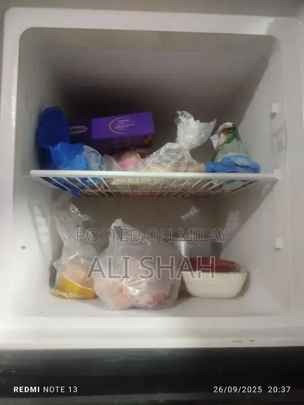 Modern Refrigerator with Advanced Cooling Technology