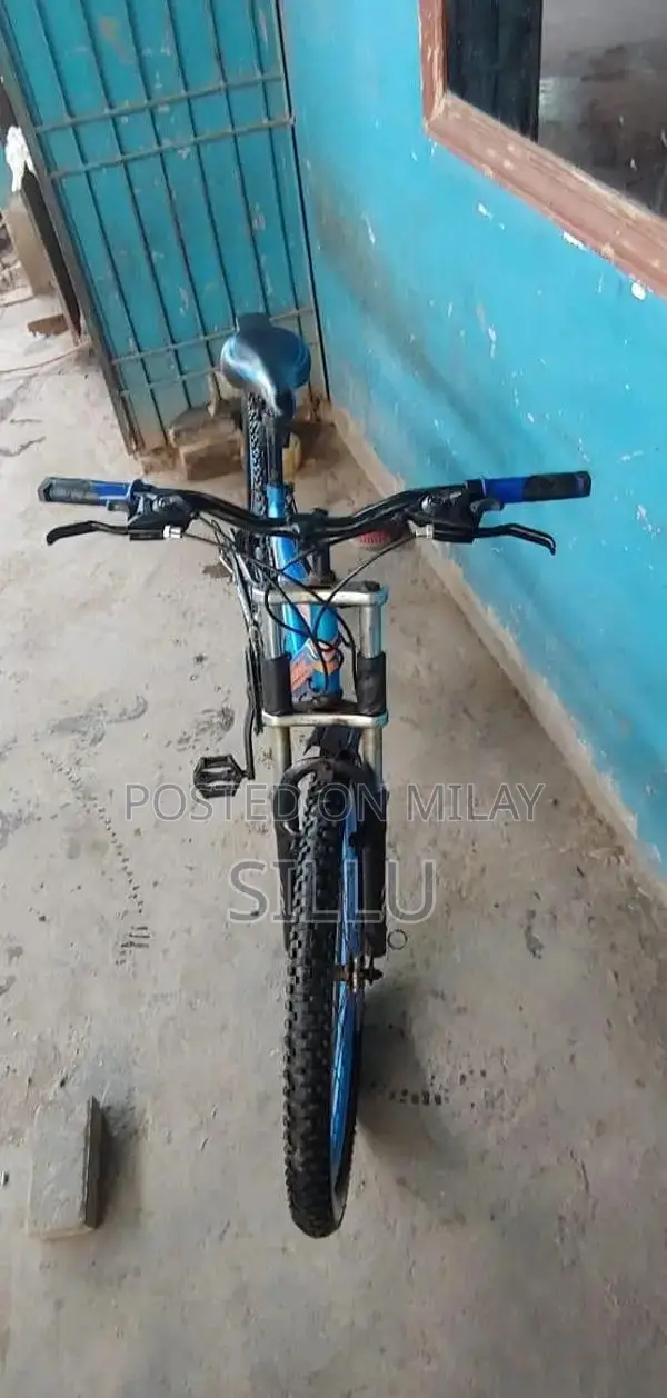 Lightly Used Bag or Sports Accessory