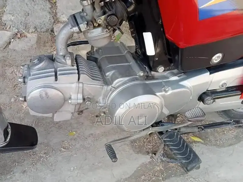 Honda 2025 Model Urban Vehicle