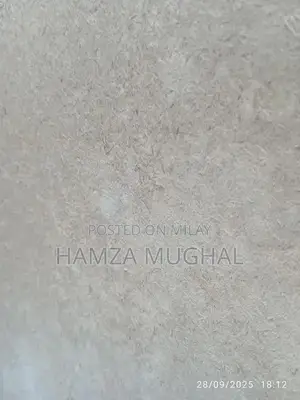 Wooden Wardrobe with Minor Repairs Needed