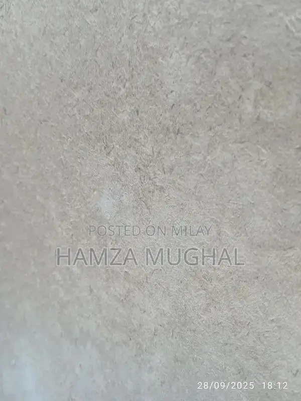 Wooden Wardrobe with Minor Repairs Needed