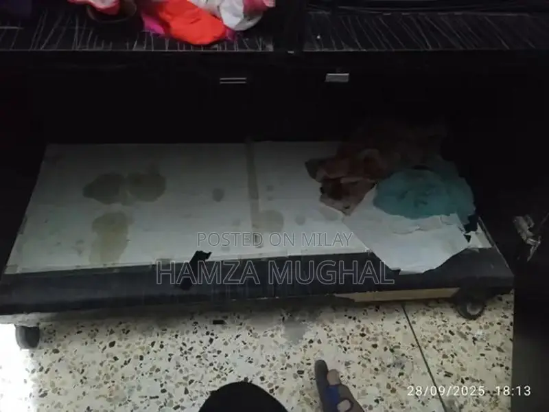 Wooden Wardrobe with Minor Repairs Needed