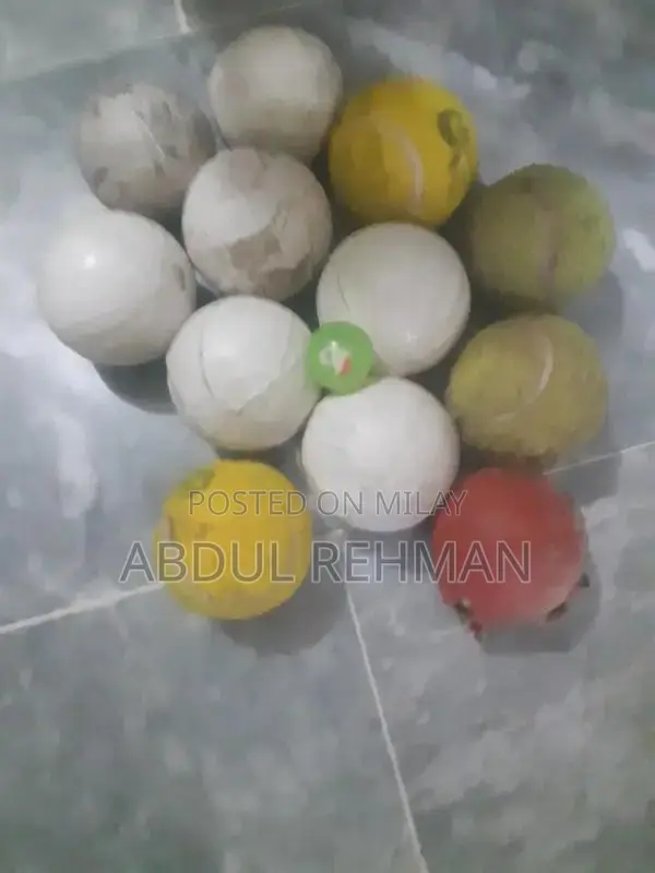 Plastic Training Balls Set of 12