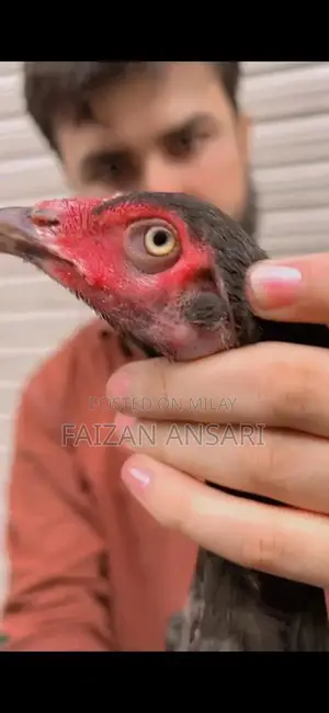 Baby Nasal Aspirator - Gentle Infant Mucus Cleaner for Newborns