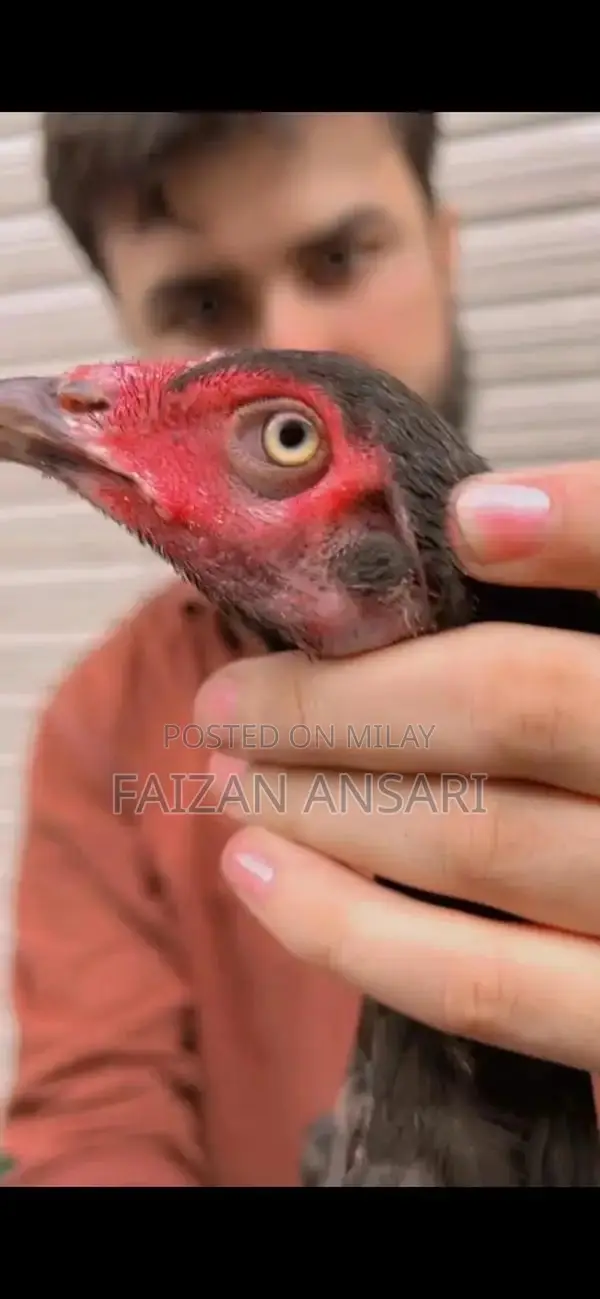 Baby Nasal Aspirator - Gentle Infant Mucus Cleaner for Newborns