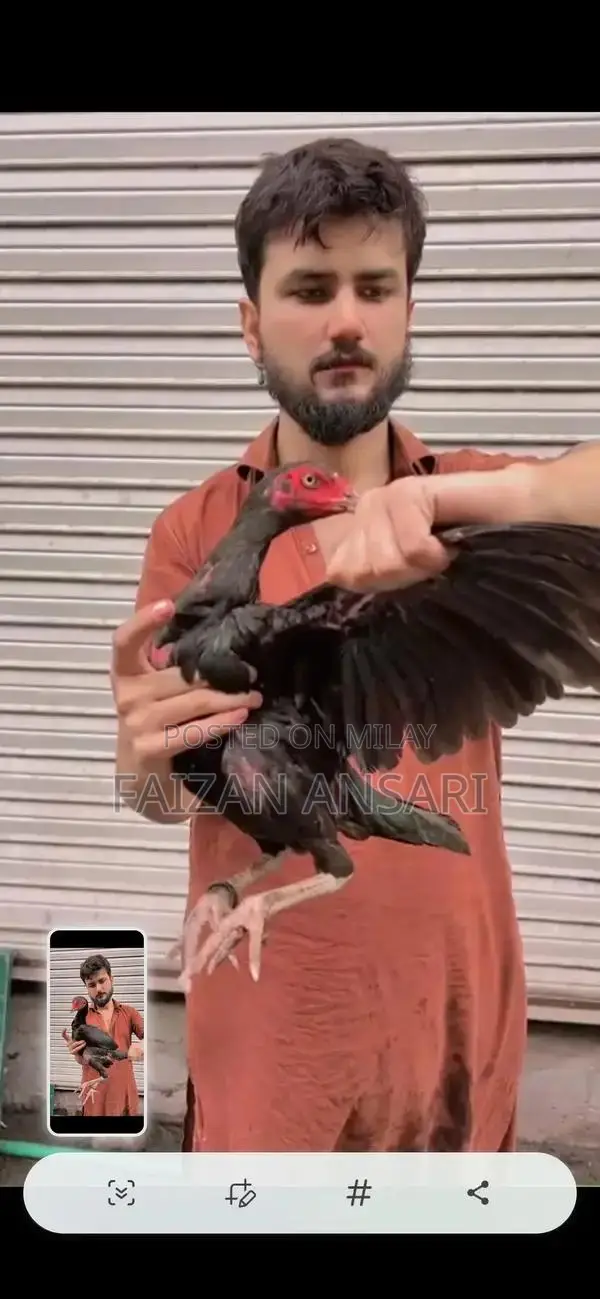 Baby Nasal Aspirator - Gentle Infant Mucus Cleaner for Newborns