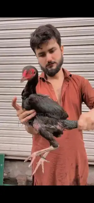 Baby Nasal Aspirator - Gentle Infant Mucus Cleaner for Newborns