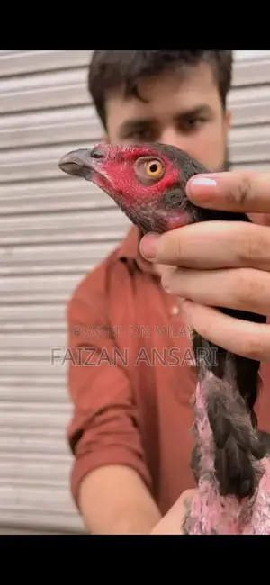 Baby Nasal Aspirator - Gentle Infant Mucus Cleaner for Newborns