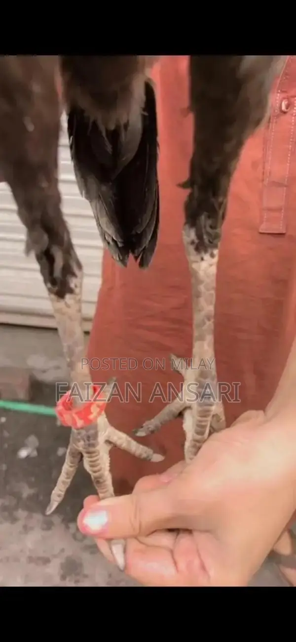 Baby Nasal Aspirator - Gentle Infant Mucus Cleaner for Newborns