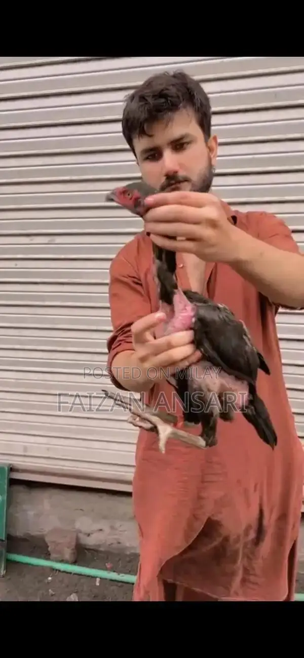 Baby Nasal Aspirator - Gentle Infant Mucus Cleaner for Newborns