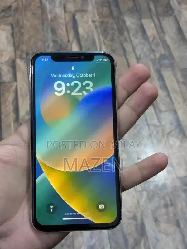 iPhone X 256GB Smartphone with Minor Back Damage