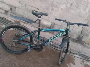 Photo - Blue Bicycle for Sale - Good Condition, All Components Working