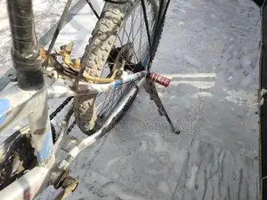 No Brakes Bicycle Pancher Box with Accessories