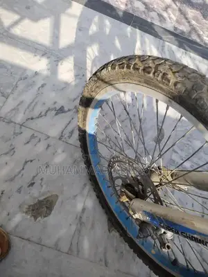 No Brakes Bicycle Pancher Box with Accessories