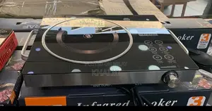 High-Performance Infrared Electric Cooker for Modern Kitchens