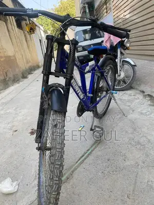 Hunter Large Frame Bicycle with Performance Gears