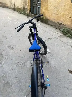 Hunter Large Frame Bicycle with Performance Gears