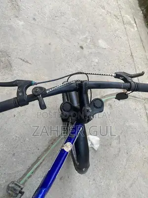 Hunter Large Frame Bicycle with Performance Gears