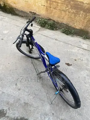 Hunter Large Frame Bicycle with Performance Gears