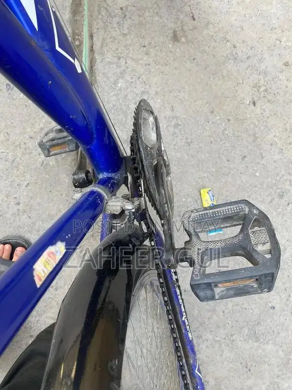 Hunter Large Frame Bicycle with Performance Gears