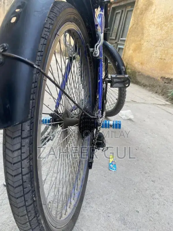 Hunter Large Frame Bicycle with Performance Gears