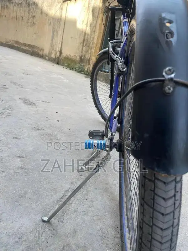 Hunter Large Frame Bicycle with Performance Gears