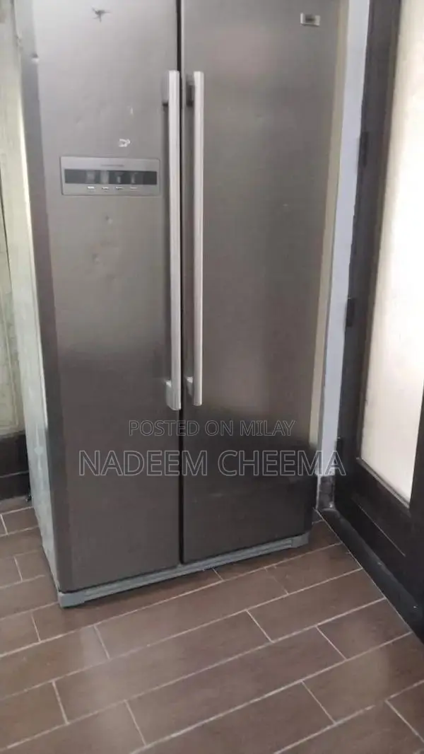 Silver Double Door Hair Freezer Appliance