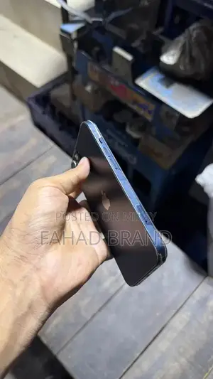 Pre-owned Apple iPhone 13 with Panel Change and 128GB Storage