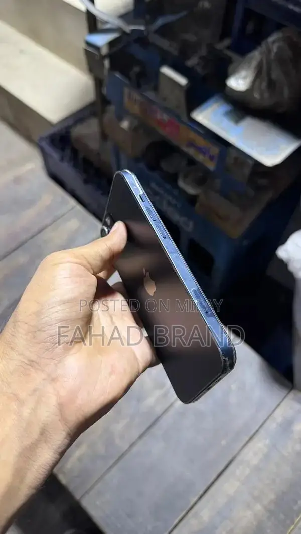 Pre-owned Apple iPhone 13 with Panel Change and 128GB Storage