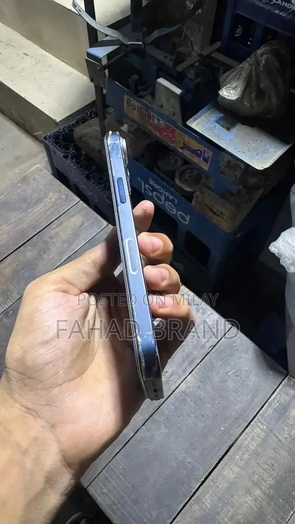 Pre-owned Apple iPhone 13 with Panel Change and 128GB Storage