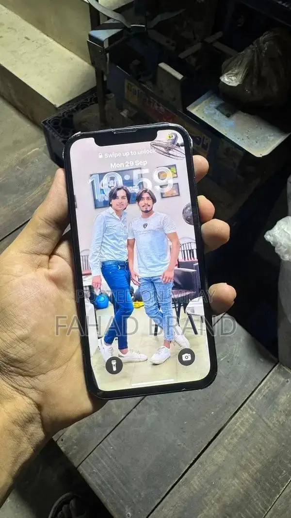 Pre-owned Apple iPhone 13 with Panel Change and 128GB Storage