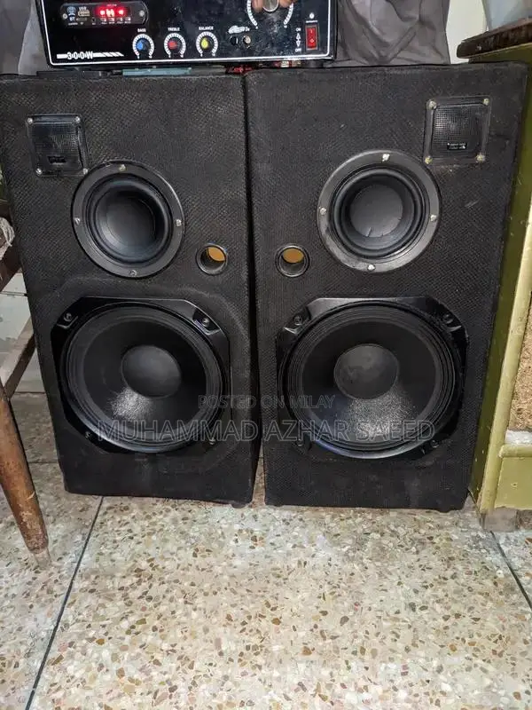 10 Inch 2-Woofer Home Audio Speaker System with Amplifier