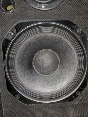 10 Inch 2-Woofer Home Audio Speaker System with Amplifier