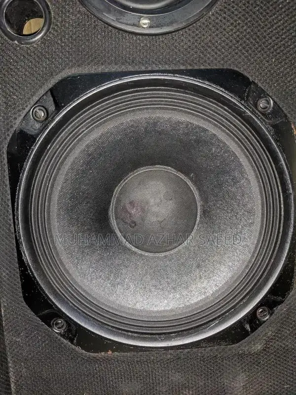 10 Inch 2-Woofer Home Audio Speaker System with Amplifier