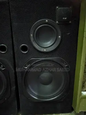 10 Inch 2-Woofer Home Audio Speaker System with Amplifier