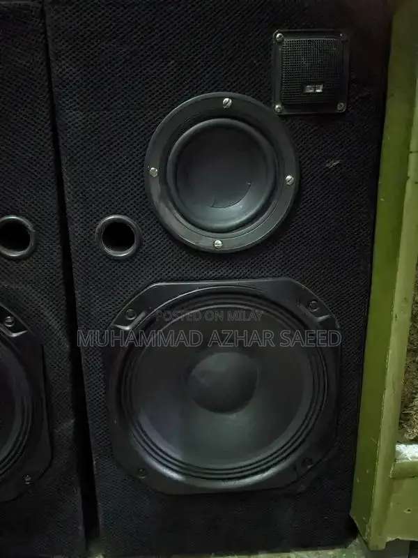 10 Inch 2-Woofer Home Audio Speaker System with Amplifier