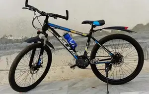 Photo - Large Adult Gear Bicycle with Aluminum Frame