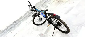 Large Adult Gear Bicycle with Aluminum Frame