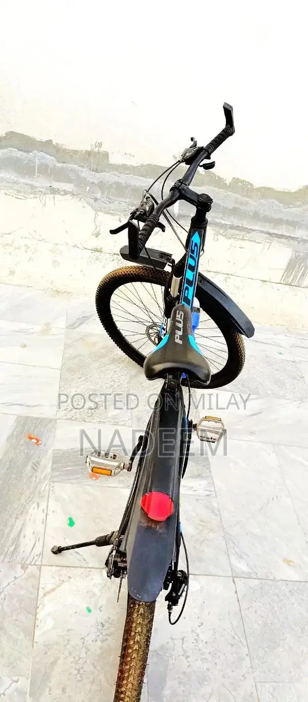 Large Adult Gear Bicycle with Aluminum Frame