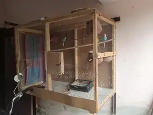 Photo - Large Bird Cage for Parrots - Spacious Multi-Bird Enclosure