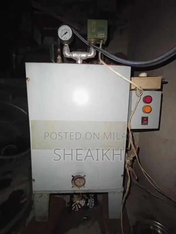 Steam Boiler with Ironing System