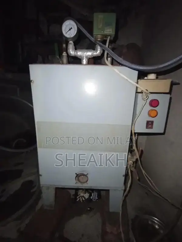 Steam Boiler with Ironing System