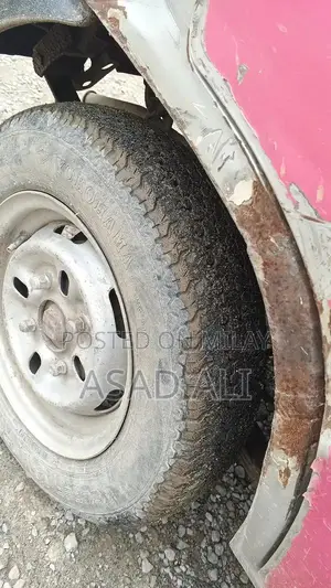 Biometric Document File and Copy Processing System