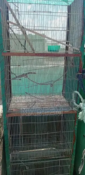 4-Portion Bird Cage with Green Protective Netting