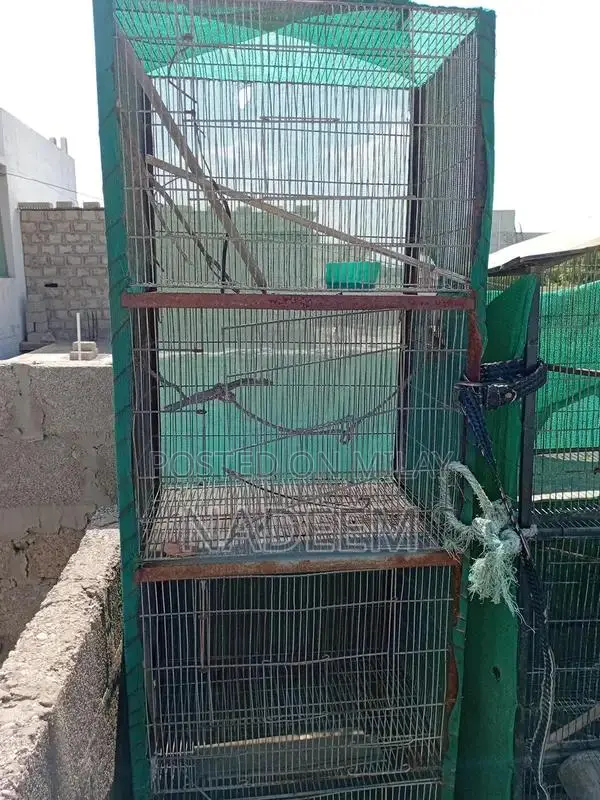 4-Portion Bird Cage with Green Protective Netting