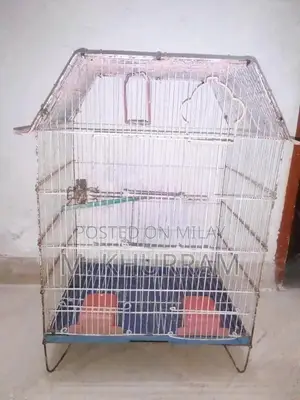 Sturdy Metal Bird Cage with Large Size and Accessories